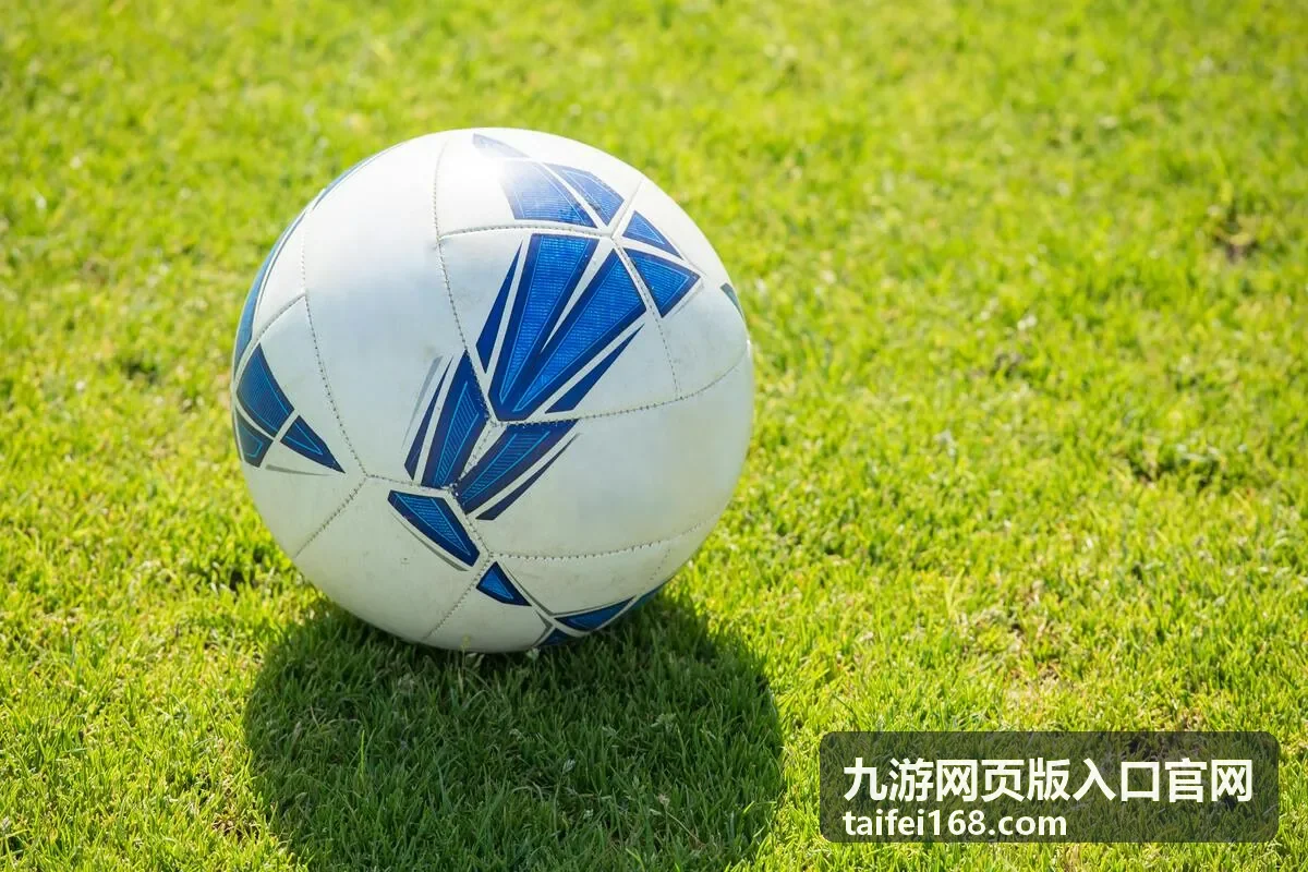 九游网页版入口官网入口通道推荐封面