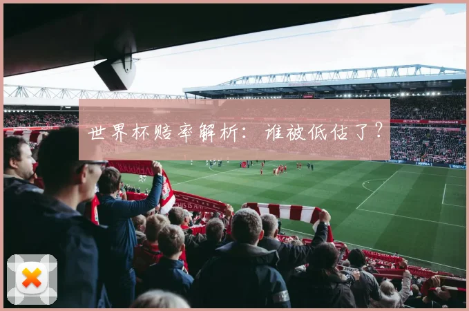 世界杯赔率解析：谁被低估了？