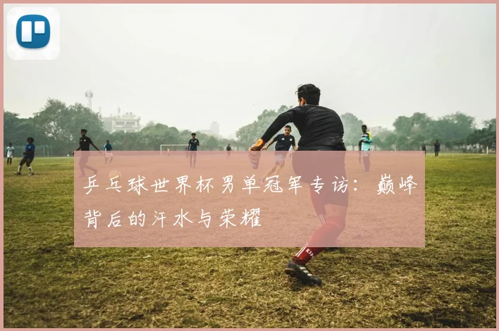 乒乓球世界杯男单冠军专访：巅峰背后的汗水与荣耀
