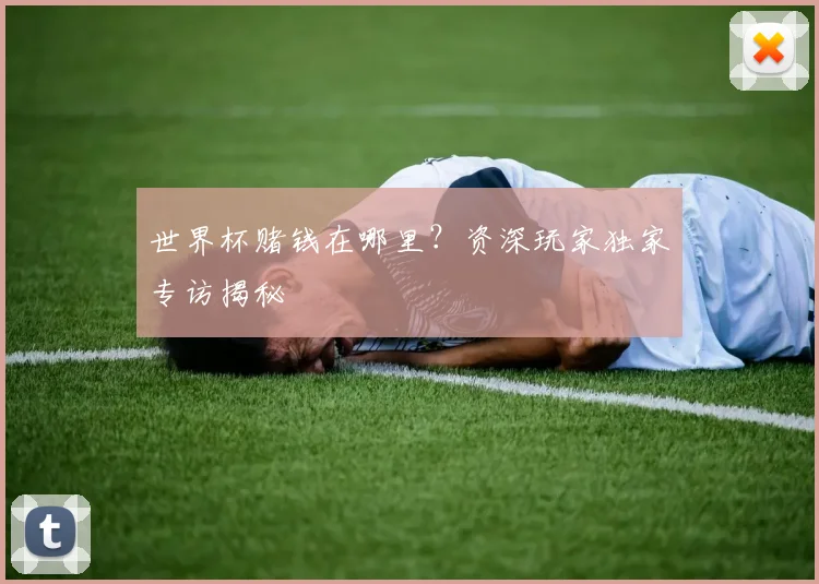 世界杯赌钱在哪里？资深玩家独家专访揭秘