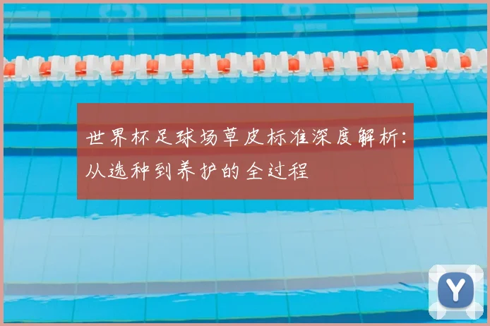 世界杯足球场草皮标准深度解析：从选种到养护的全过程
