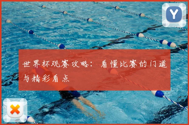 世界杯观赛攻略：看懂比赛的门道与精彩看点