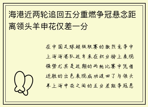 海港近两轮追回五分重燃争冠悬念距离领头羊申花仅差一分